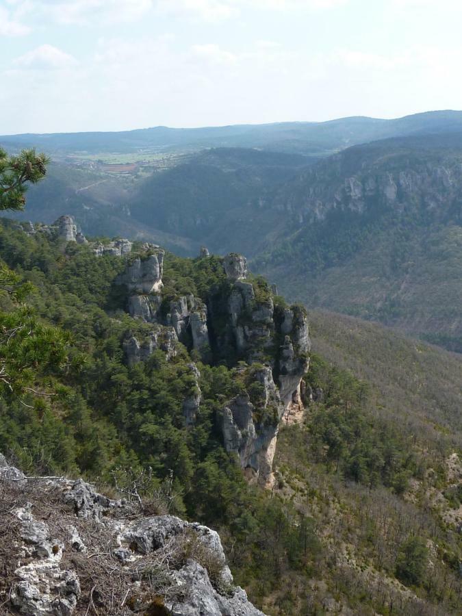 Le Passe Compose Villa Millau Dış mekan fotoğraf